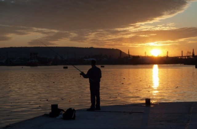 Забраниха улова на есетрови риби