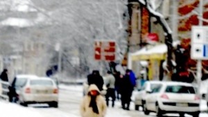 И Апелативният остави в ареста Гущера и Лотоса