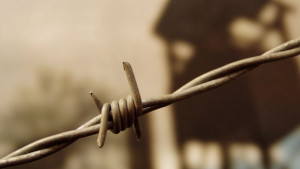 Варненският затвор найпренаселен