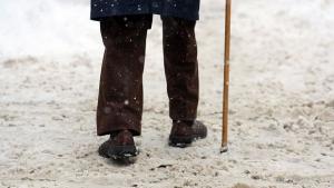 Онези които си отидоха