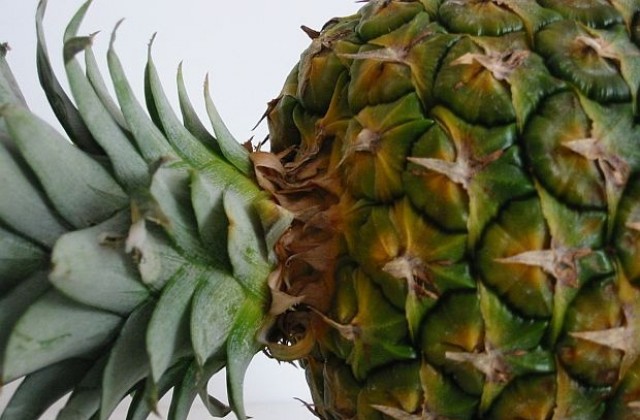 Обелки от тропически плодове помагат при отслабване