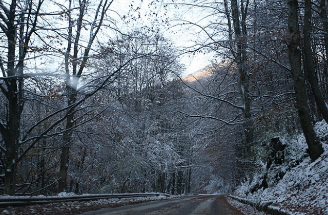 Пътищата са проходими при зимни условия
