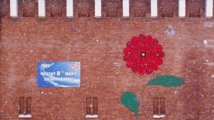 Гербери за 8ми март