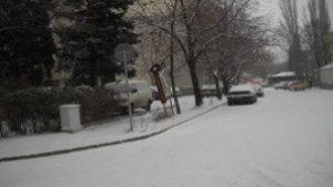 Слаб сняг в Старозагорско