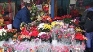 Отбелязваме Международния ден на жената