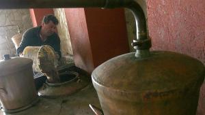 Българската гроздова кауза