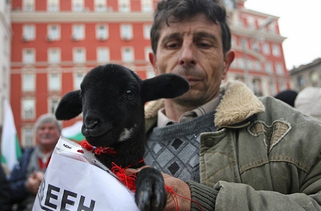 Фермери протестираха, обещаха им нова схема за данъчно облагане
