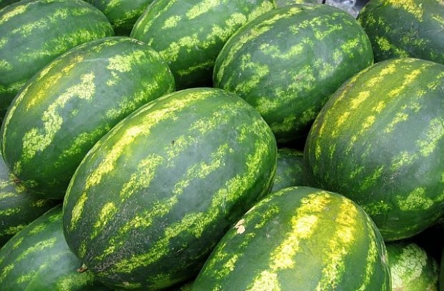 Протестиращи кувейтчани раздадоха пъпеши и дини на депутати
