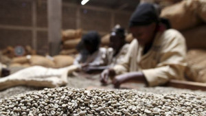 С пълна газ към глада