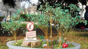 Странджа природен парк биосфера резерват или