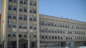 Искат промени в общинската наредба за отглеждане на кучета на