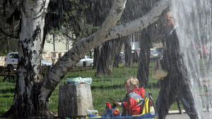 Опасност от тиранозаври няма