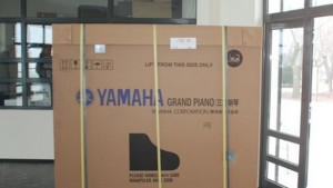 Yamaha в Казиното