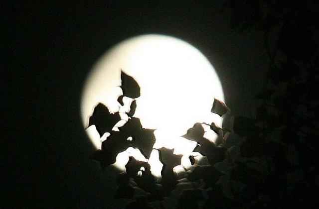 „Супер Луна” на 19 март