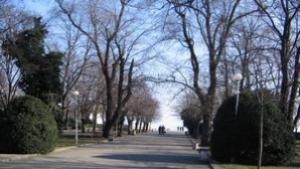 На тъмно в Морската градина откраднали кабел