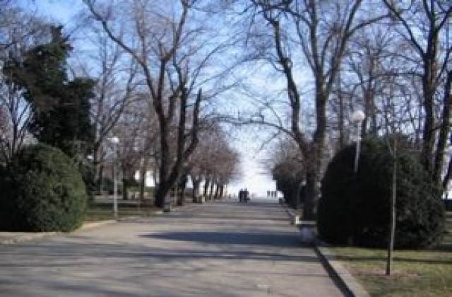 На тъмно в Морската градина, откраднали кабел