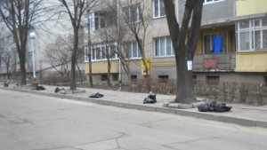 Започна пролетното почистване на Добрич