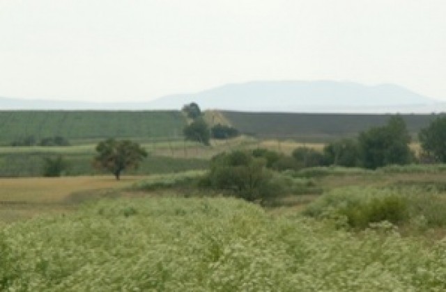 Четири пъти по-малко нови гори в Ямболско