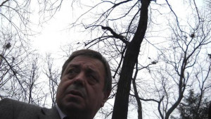 Кметът на Шумен започва разрешаване на проблема с гаргите в