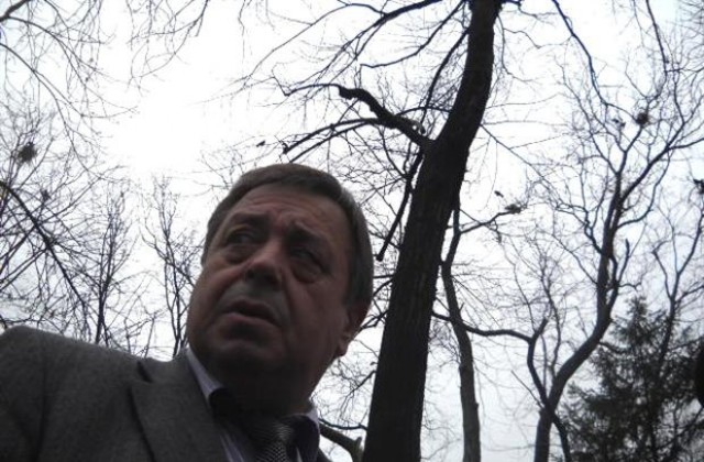 Кметът на Шумен започва разрешаване на проблема с гаргите в града