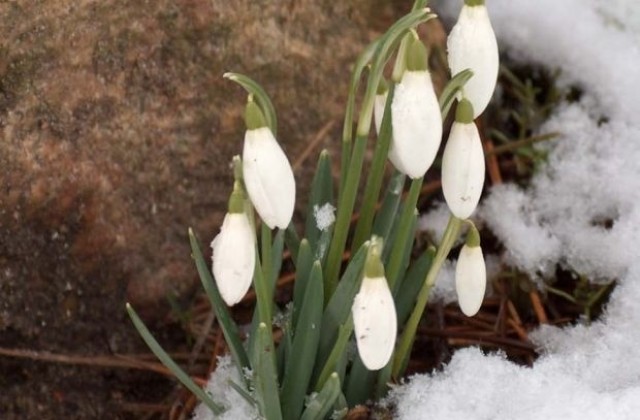 Настъпи астрономическата пролет
