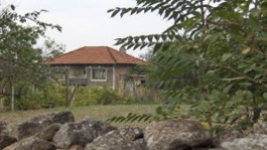 Пребиха старица за петел и две възглавници