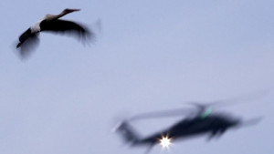 Международните сили участващи в либийската криза