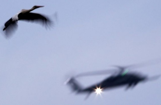 Международните сили, участващи в либийската криза