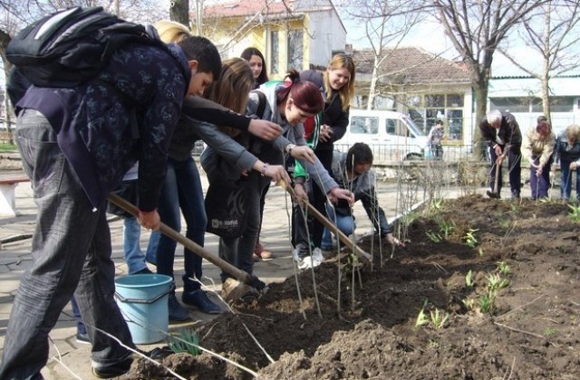 50 дръвчета за 50 години СОУ Васил Левски засадиха зрелостници