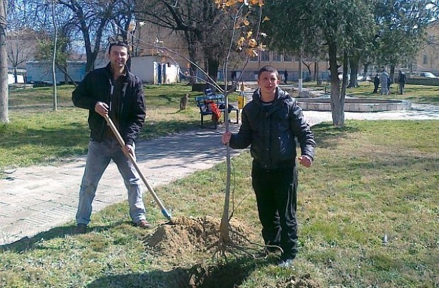 Младежи от ГЕРБ засадиха 17 дръвчета в петричкото село Марикостиново