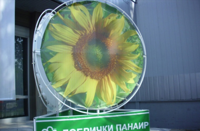 Добрички панаир открива изложението  Пчеломания