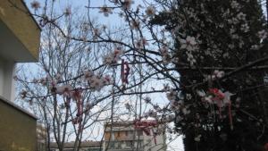 Как да различим пролетната умора