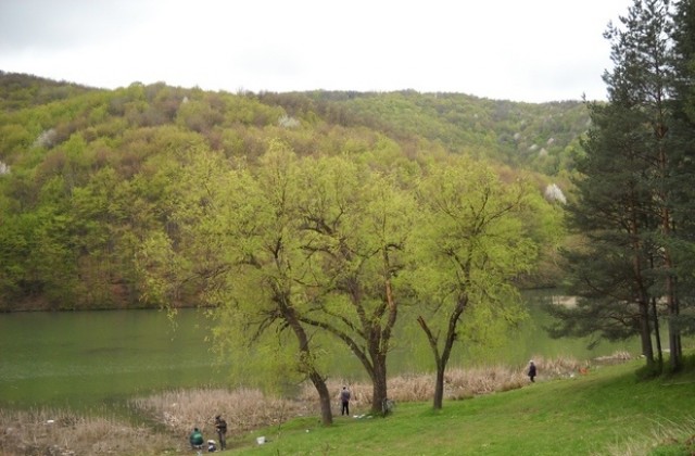 Да събудим Боженци за пролетта