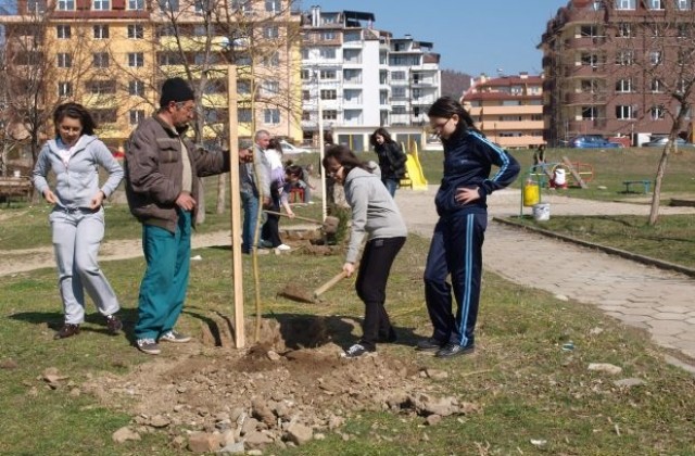 220 дръвчета засадиха ученици в новия парк в кв. Еленово