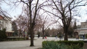 Дискутират правата в здравеопазването в Ямбол