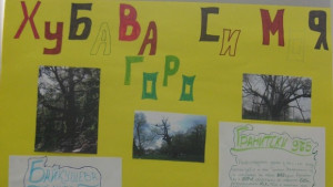 Хубава си моя горо