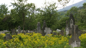 Задава се криза със свободните нови места в гробището на