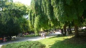 Откриват Националната конференция по предучилищно възпитание в Стара Загора