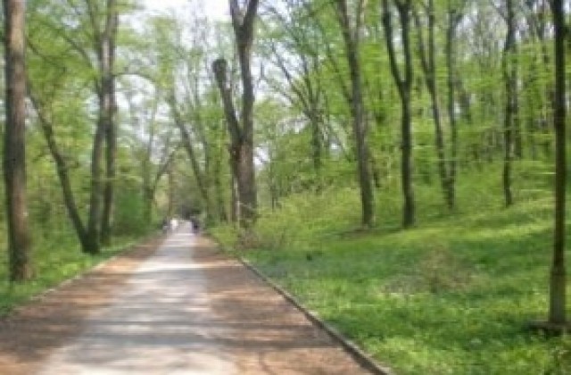 Състезание по ориентиране провеждат в Лясковец