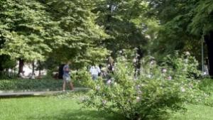 Пръскат срещу кърлежи в Горна Оряховица
