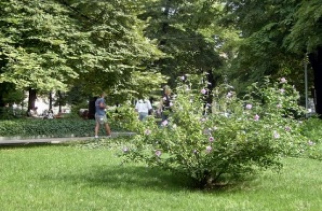 Пръскат срещу кърлежи в Горна Оряховица