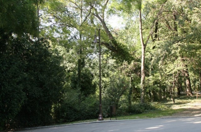 Садят дръвчета във Владиславово