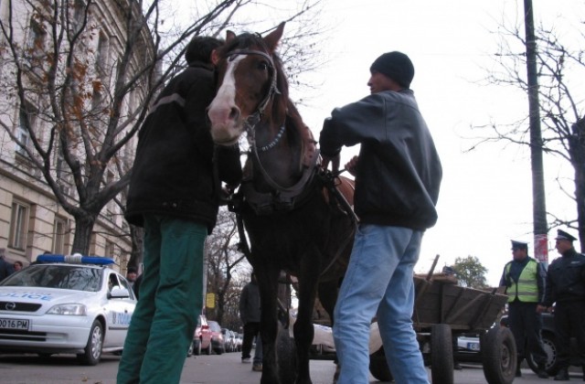 Наредба „пуска” каруци в центъра на Варна