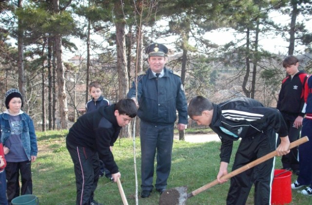 Млади огнеборци садиха дръвчета