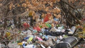90 тона отпадъци в първия ден от почистването