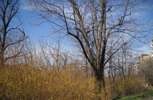 Предимно слънчево