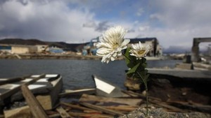 Месец след земетресението в Япония 150 000 души остават в