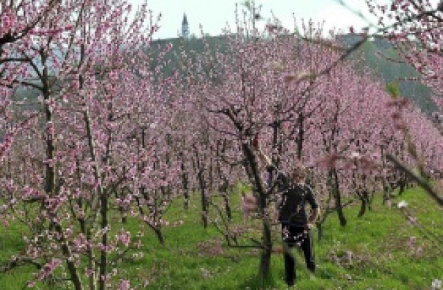 Словенците отхвърлиха нов трудов закон на референдум