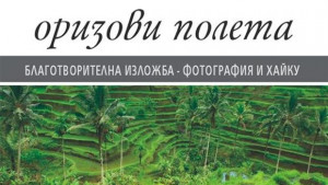 Шуменско участие в благотворителна изложба за Япония