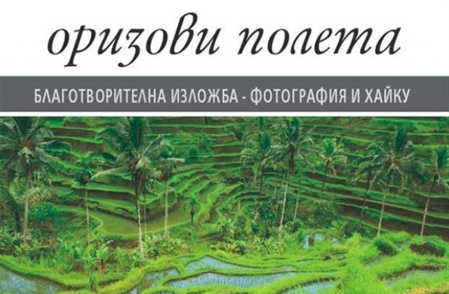 Шуменско участие в благотворителна изложба за Япония
